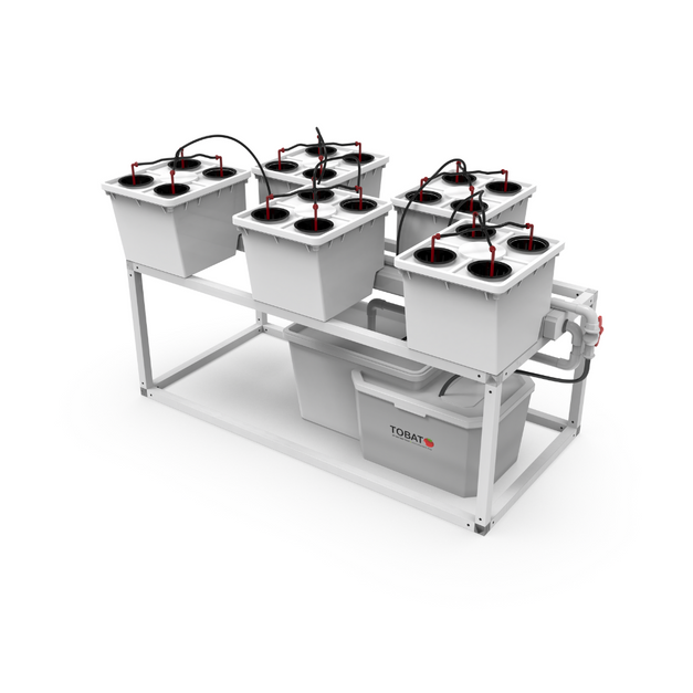 Tobato 5 – Dutch Bucket Hydroponic Growing System