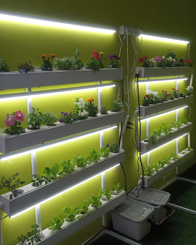 Wally 32 – Hydroponic Vertical System for Growing 32 Greens and Fruits