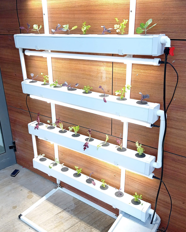 Wally 32 – Hydroponic Vertical System for Growing 32 Greens and Fruits