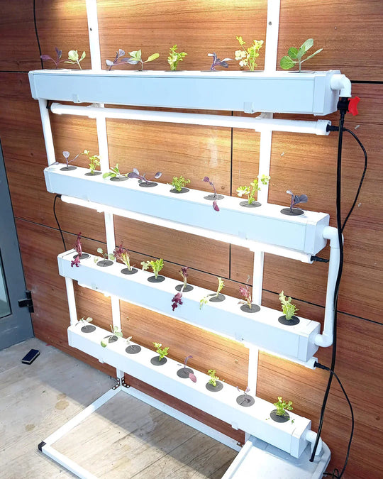 Wally 32 Wall Hydroponic System Kit