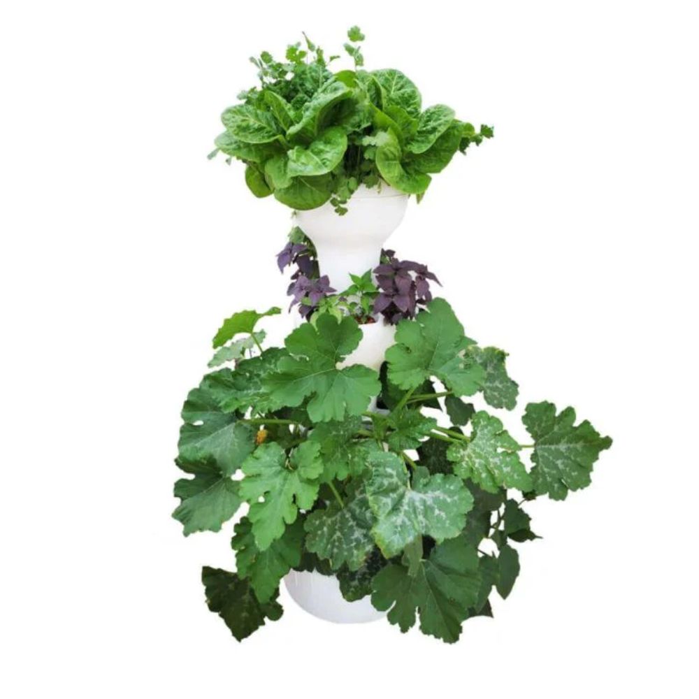 Airponic Fruit - Hydroponic Tower Garden System