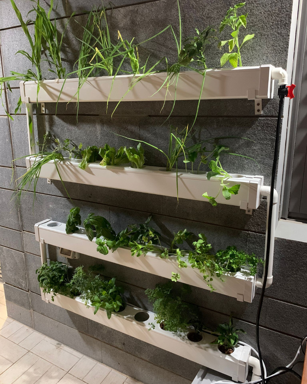 Wally 32 – Hydroponic Vertical System for Growing 32 Greens and Fruits