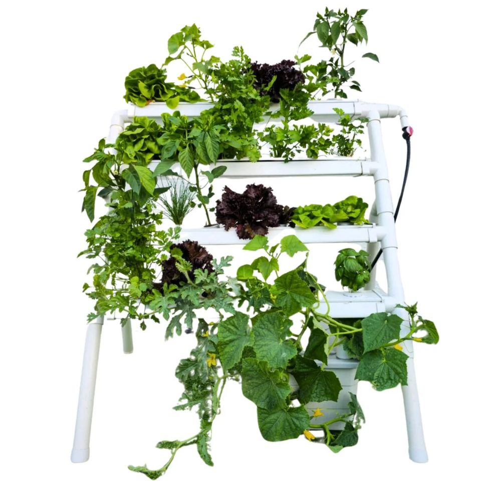 Homie 28 – Home Hydroponic Growing System