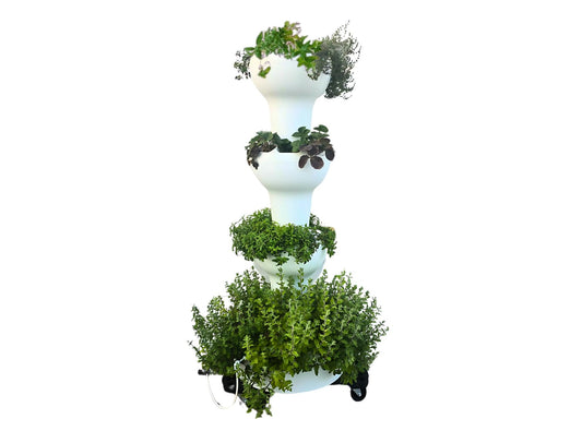 Airponic Fruit - Hydroponic Tower Garden System