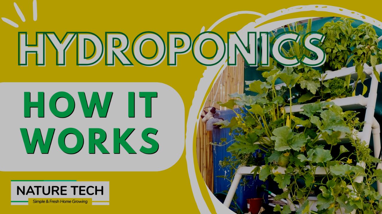 Load video: Video: Nature Tech&#39;s Hydroponics. How it works.