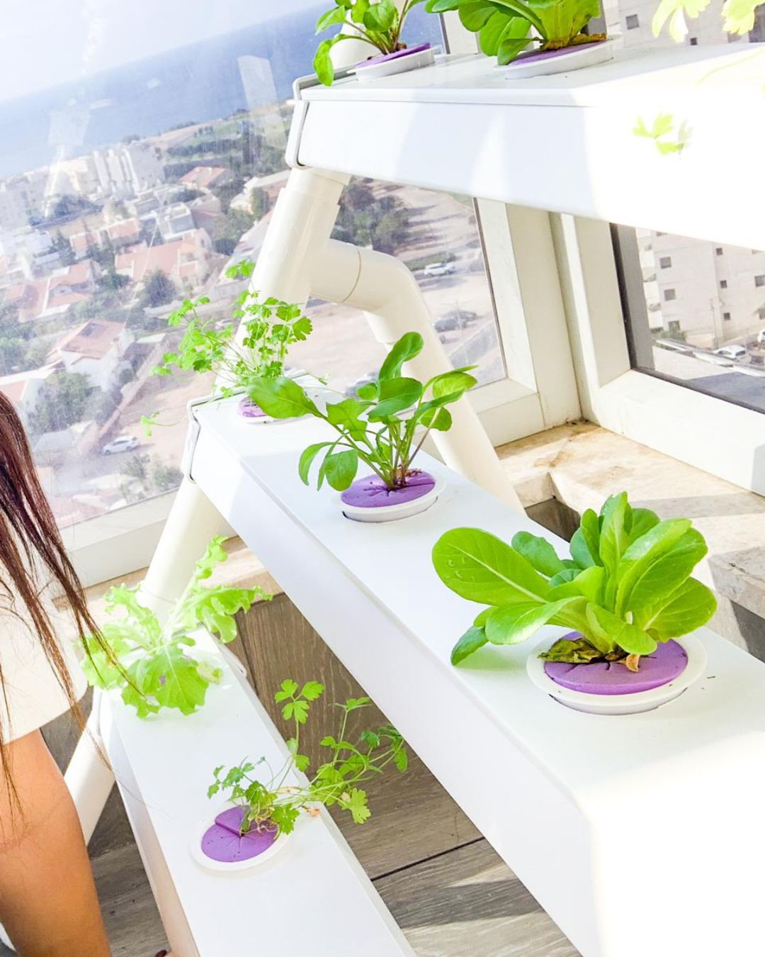 Homie 28 – Home Hydroponic Growing System