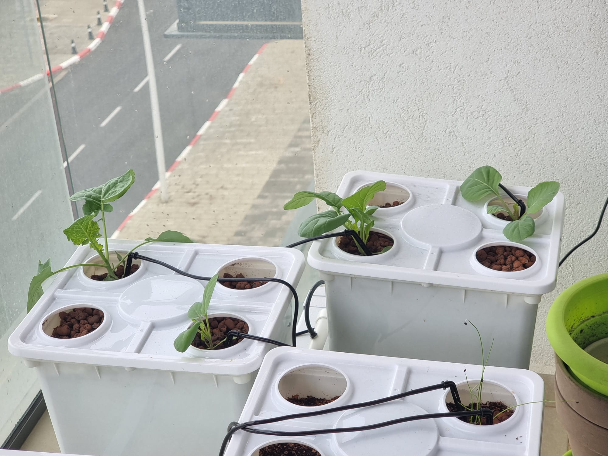techtongda hydroponic grow kit system 90 plant indoor vegetable planting Tobato 5 – Dutch Bucket Hydroponic Growing System – NatureTech USA