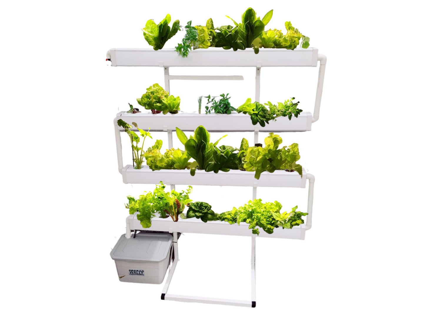 Wally 32 – Fixed Wall Hydroponic Gardening System