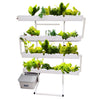 Wally 32 – Fixed Wall Hydroponic Gardening System