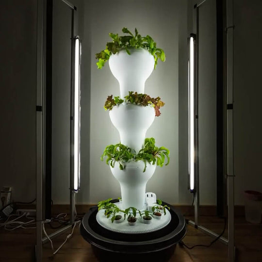 Airponic Fruit - Hydroponic Tower Garden System