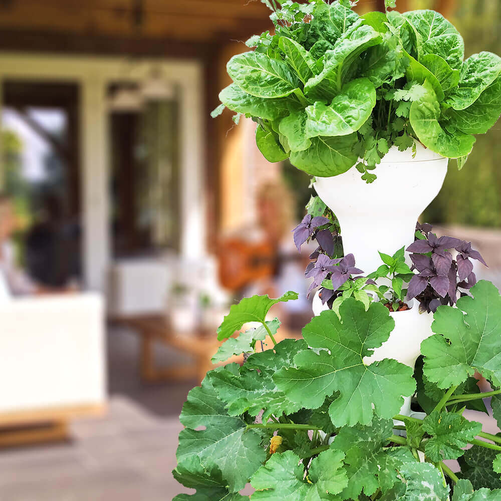 plant tower hydroponic Airponic Fruit