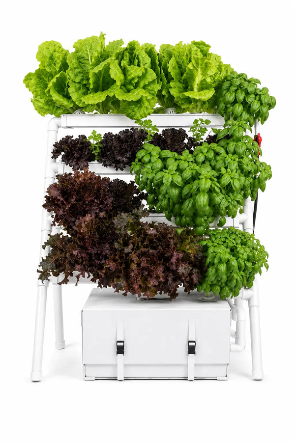 Homie Smart 28 freestanding hydroponic garden