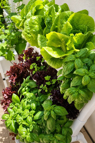 Homie Smart 28 freestanding hydroponic garden
