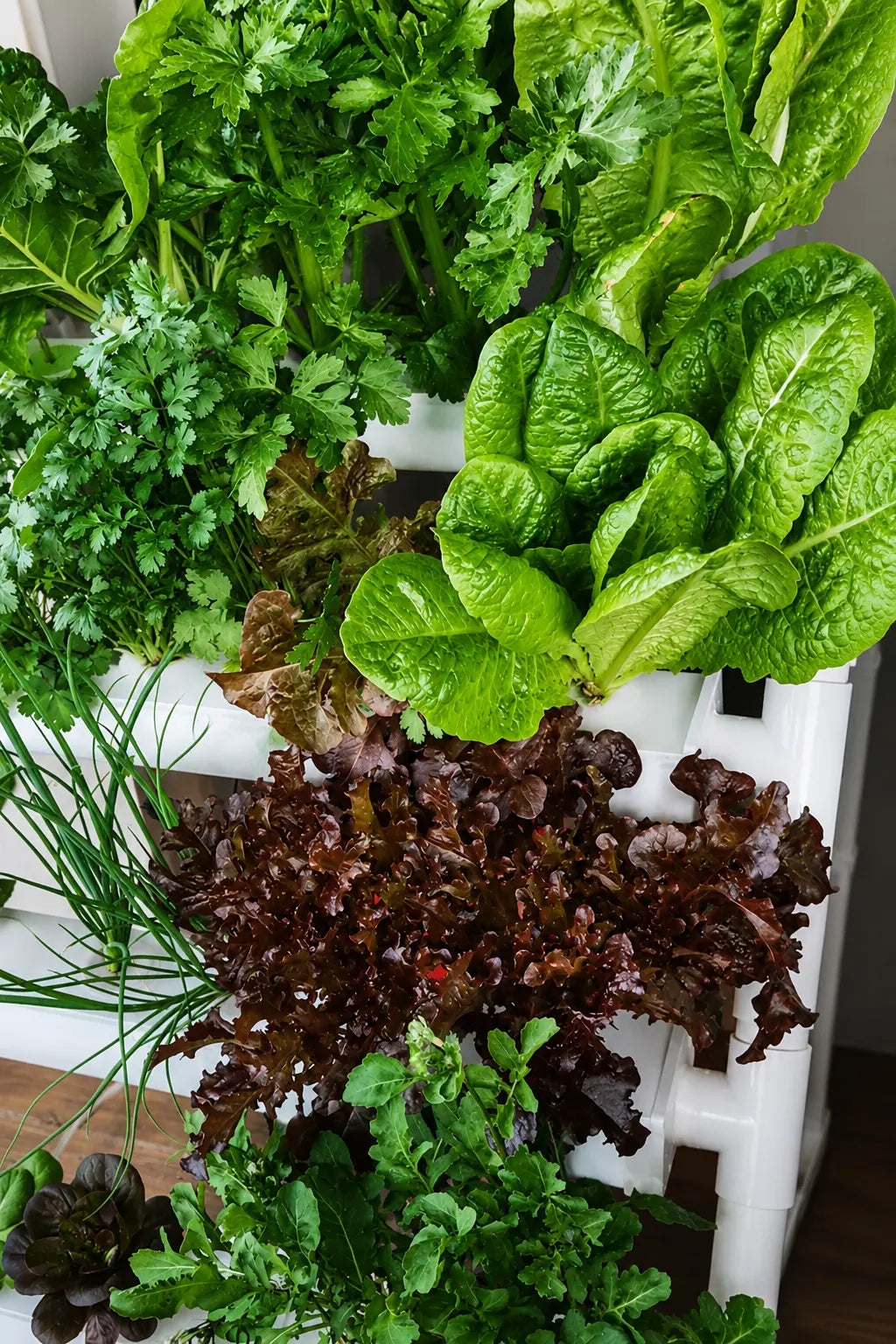 Homie Smart 28 freestanding hydroponic garden