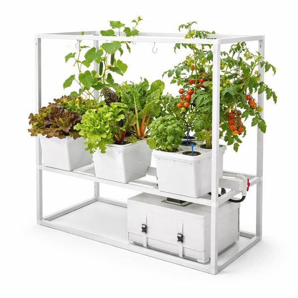 Tobato Smart 5 Dutch bucket growing system
