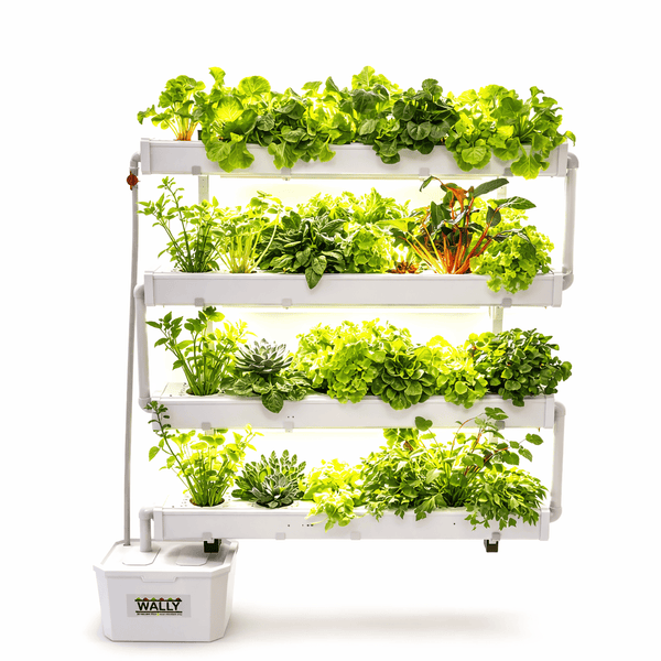 Hydroponic Kits