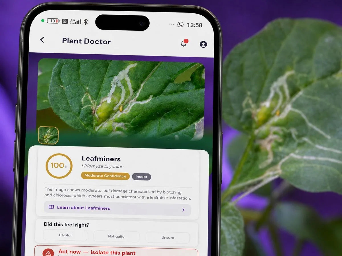 The Vegardi Plant Doctor screen diagnosing leafminers at moderate confidence, with a learn-more link, over a real leaf showing insect damage.