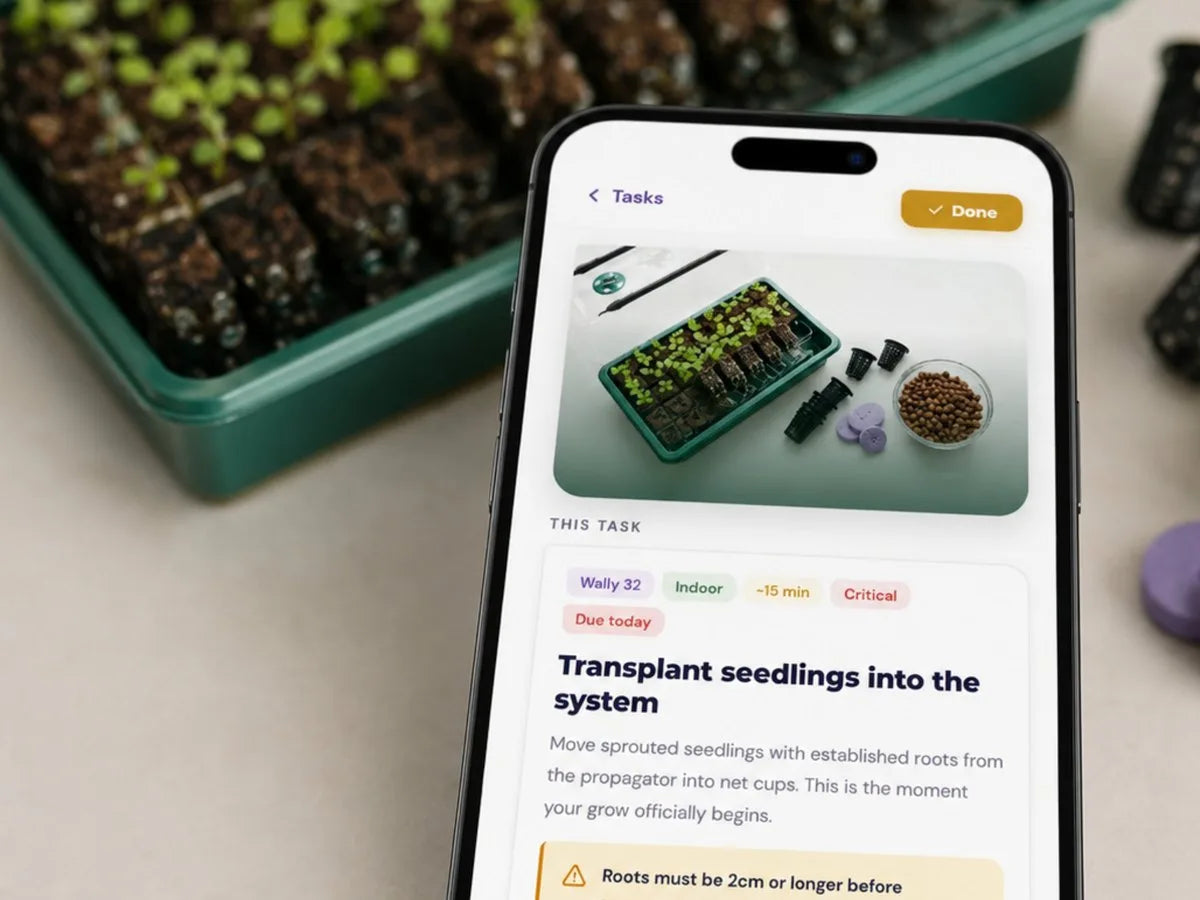 A Vegardi task: transplant seedlings into the system, with chips for Wally 32, indoor, 15 minutes, critical, due today, and an Ask Gardi link.