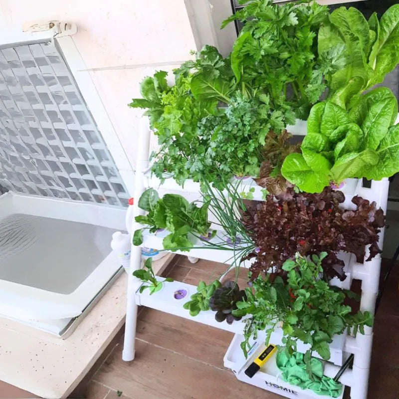 Homie hydroponic system growing in a real home