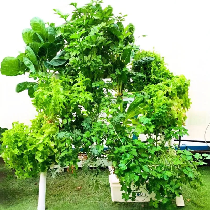 Homie hydroponic system growing in a real home