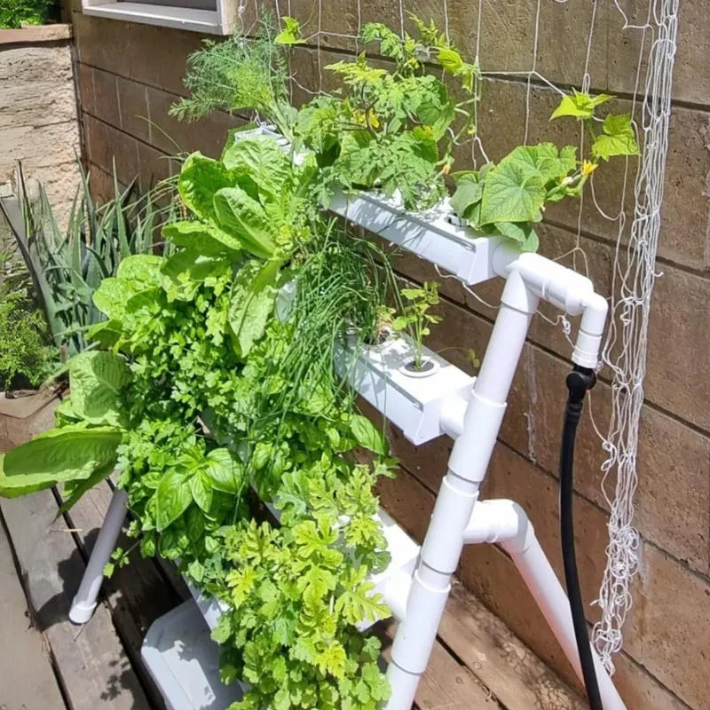 Homie hydroponic system growing in a real home