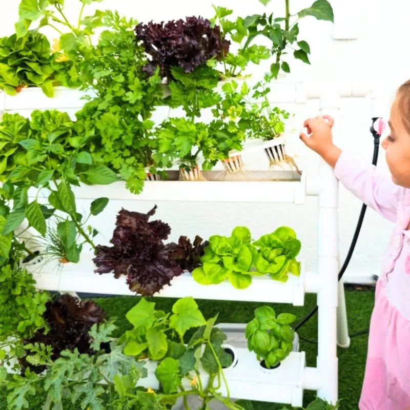 Homie hydroponic system growing in a real home