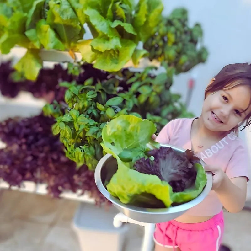 Homie hydroponic system growing in a real home