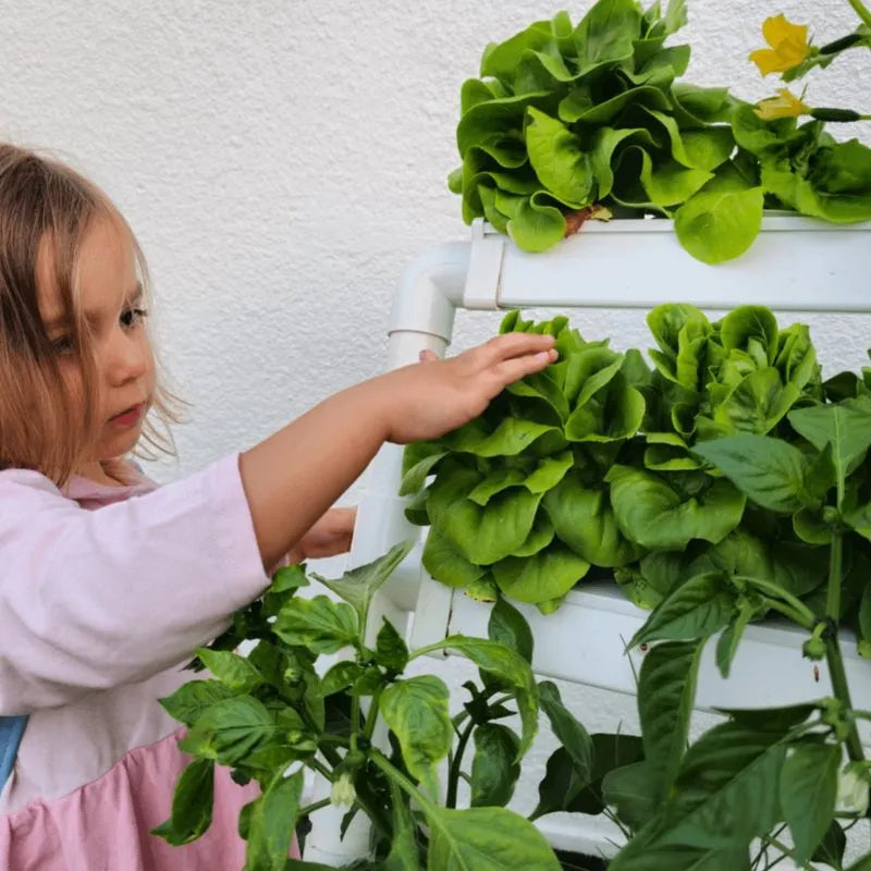 Homie hydroponic system growing in a real home