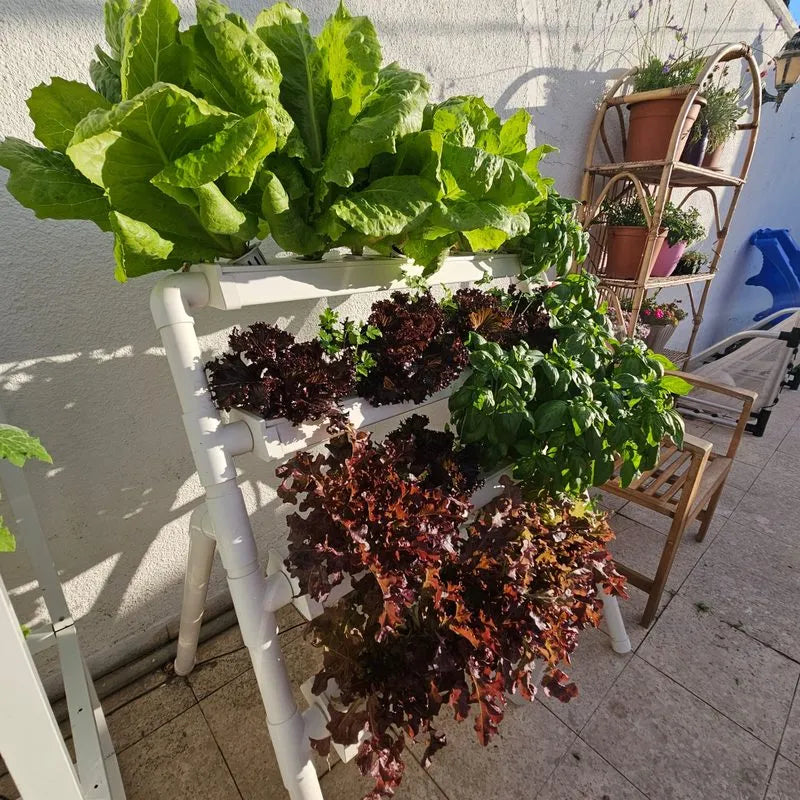 Homie hydroponic system growing in a real home