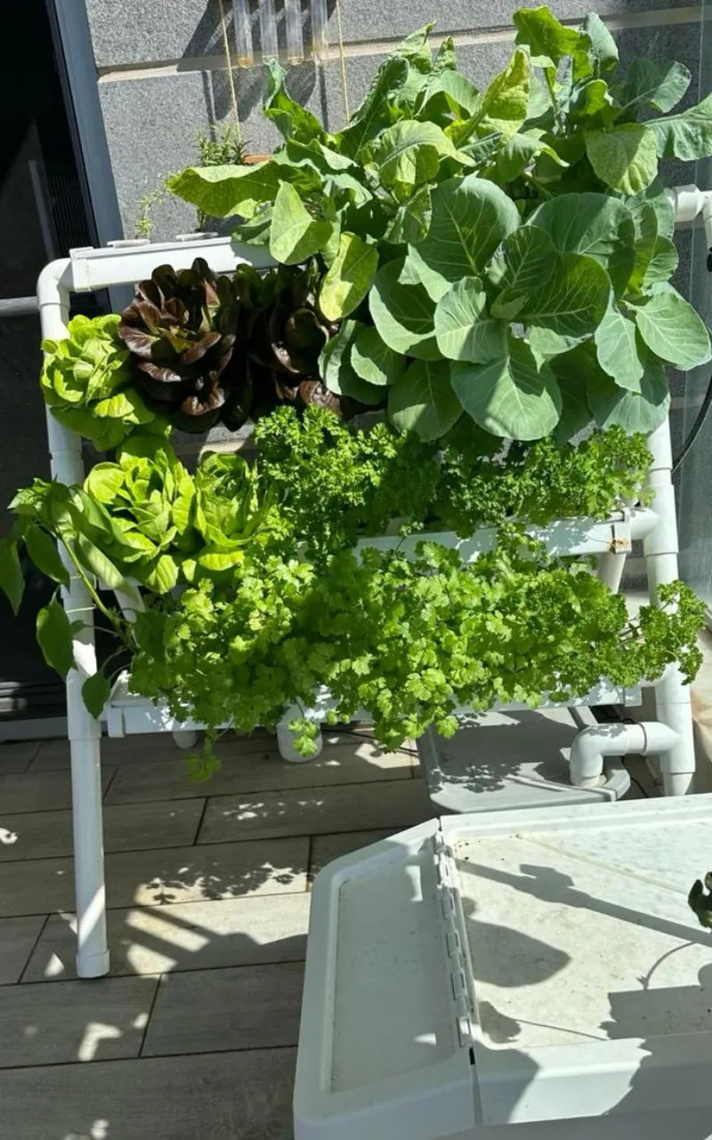 A NatureTech customer's plants growing at home