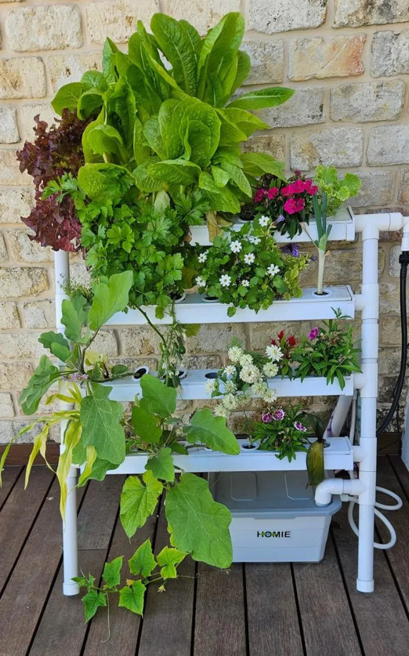 A NatureTech customer's plants growing at home