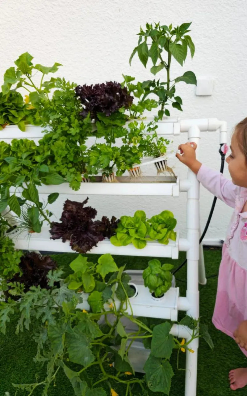 A NatureTech customer's plants growing at home