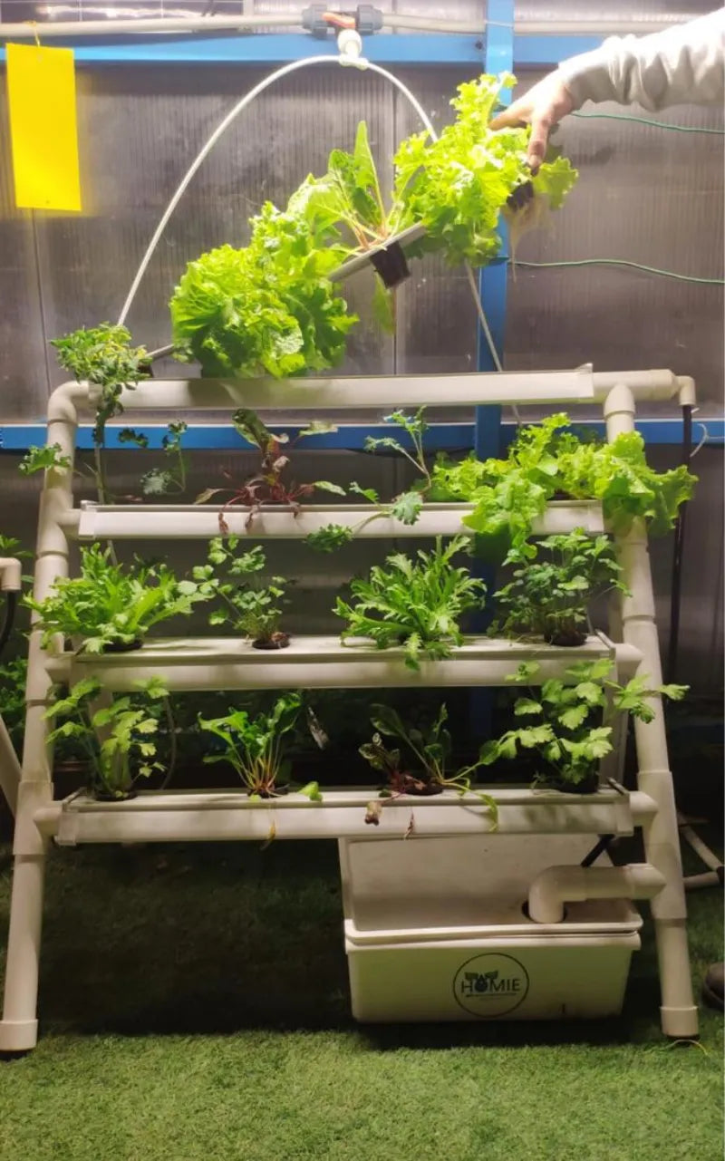 A NatureTech customer's plants growing at home