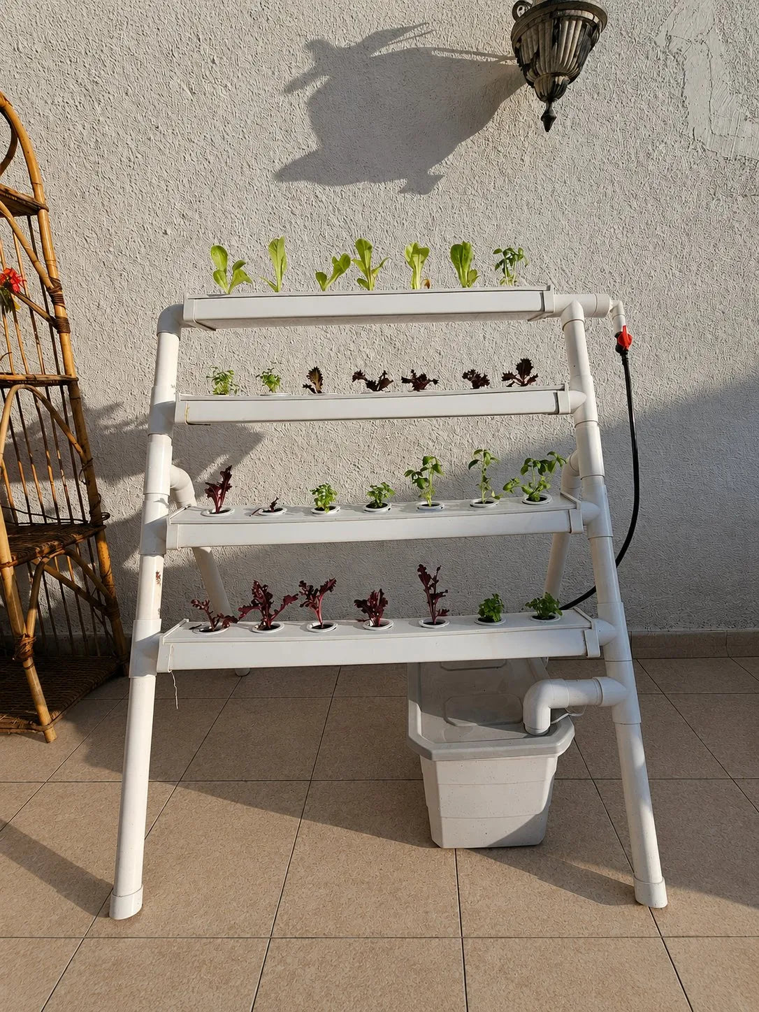 A NatureTech Homie freestanding system on a sunlit patio, freshly planted with young seedlings sparsely distributed across the four channels.