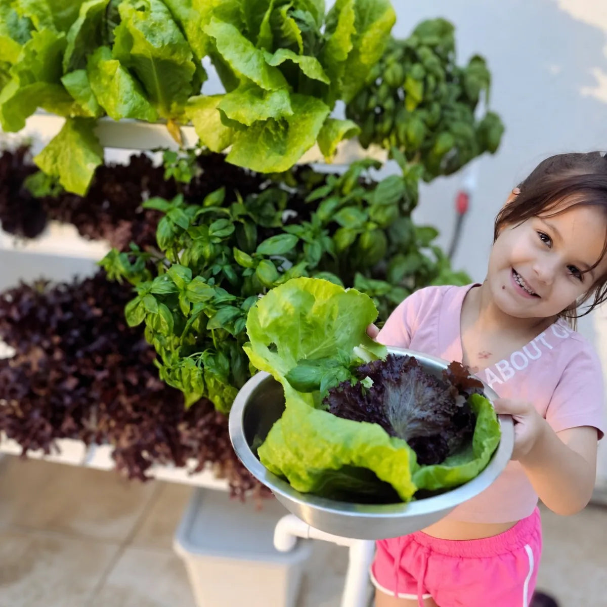 A young grower holding a bowl of freshly harvested lettuce, basil, and red lettuce in front of a thriving, lush Homie system on a sunlit patio.