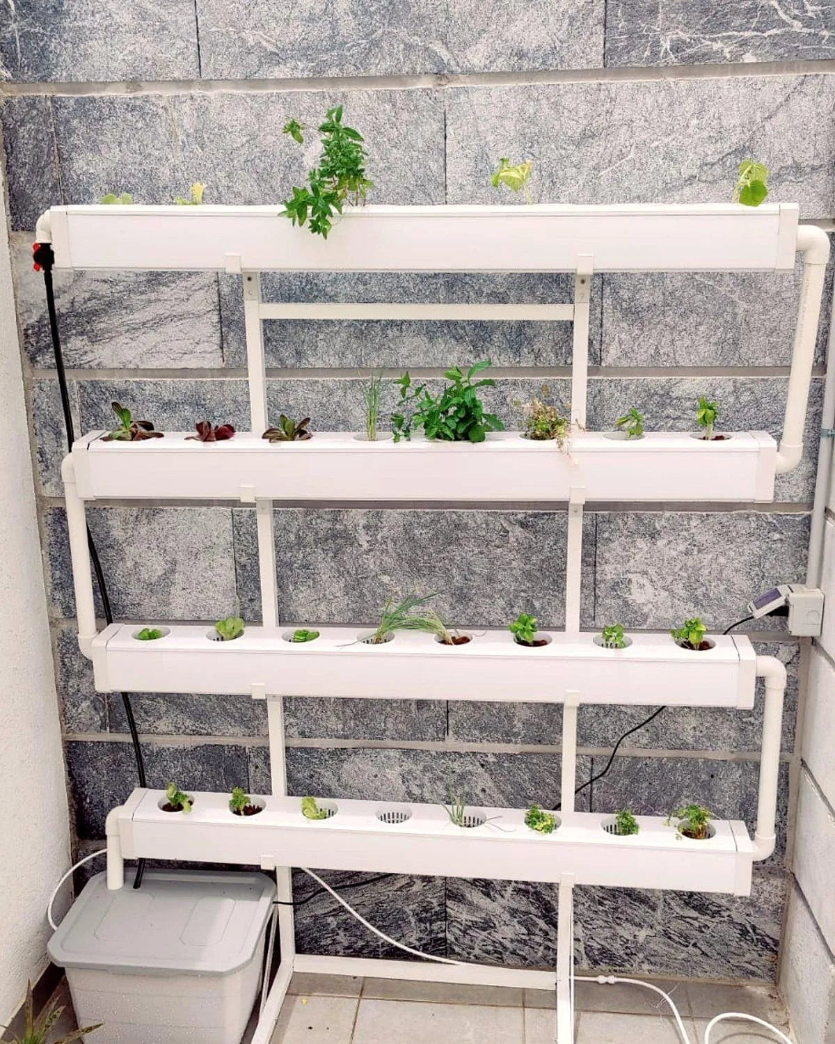 A NatureTech Wally system mounted on the wall, freshly planted with seedlings.