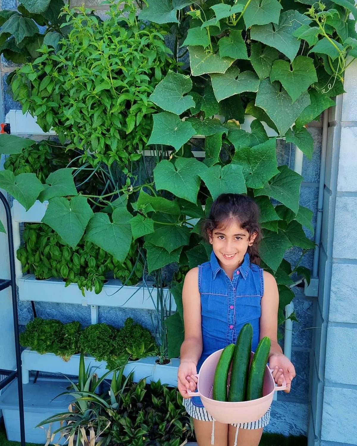 A young grower holding home-grown cucumbers in front of a fully mature, lush Wally system.