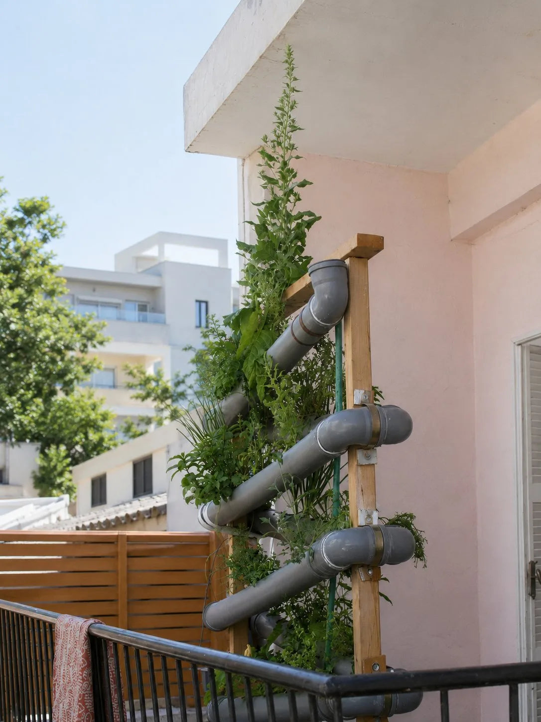 A vertical PVC pipe hydroponic system mounted on a sunlit balcony, with herbs and leafy greens growing out of the angled pipes