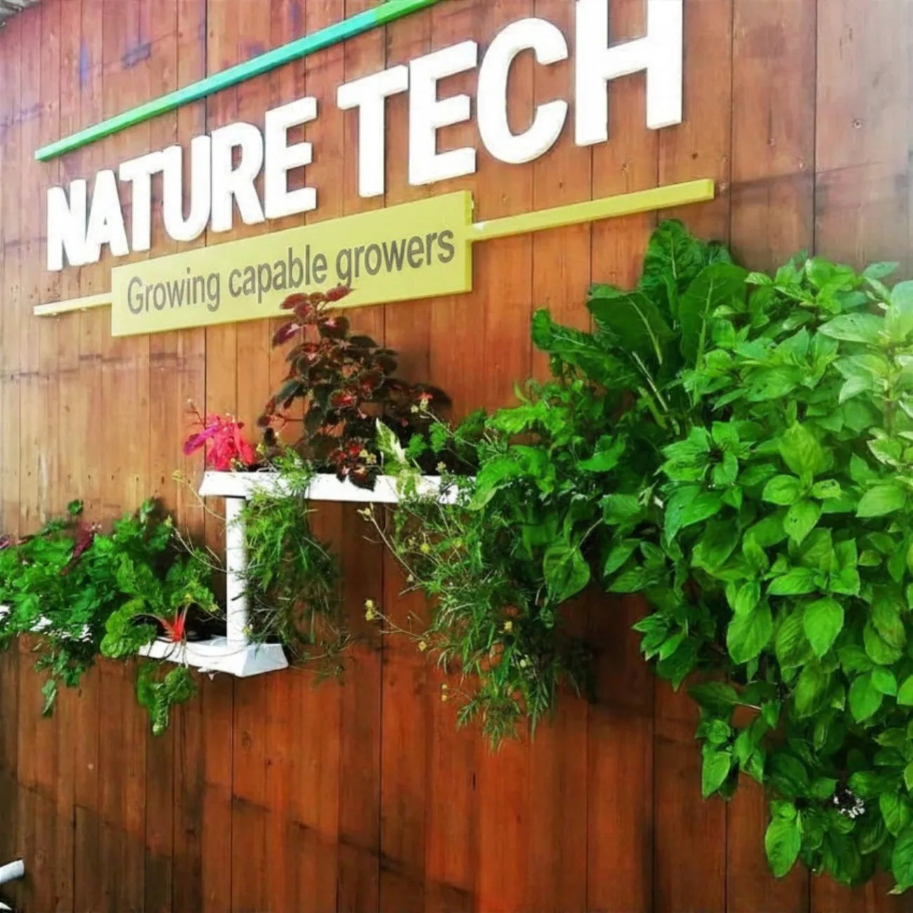 A wooden wall with a NATURE TECH sign reading 'Growing capable growers,' with herbs and plants spilling out of a small wall planter