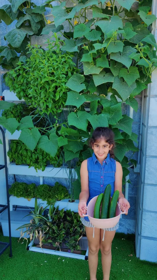 A young girl in a denim dress holding a basket of large cucumbers in front of a Wally wall heavy with cucumber vines.