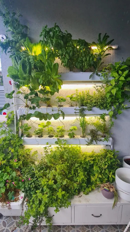 An outdoor balcony Wally wall at dusk, full of basil, mint, lettuces, and trailing herbs lit by integrated grow lights.