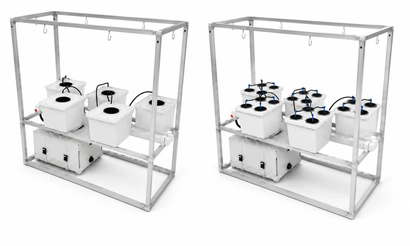 Two Tobato systems side by side: one set up with five single-plant buckets, the other with four plants per bucket for twenty in all.