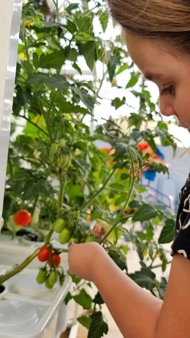 A NatureTech customer's plants growing at home
