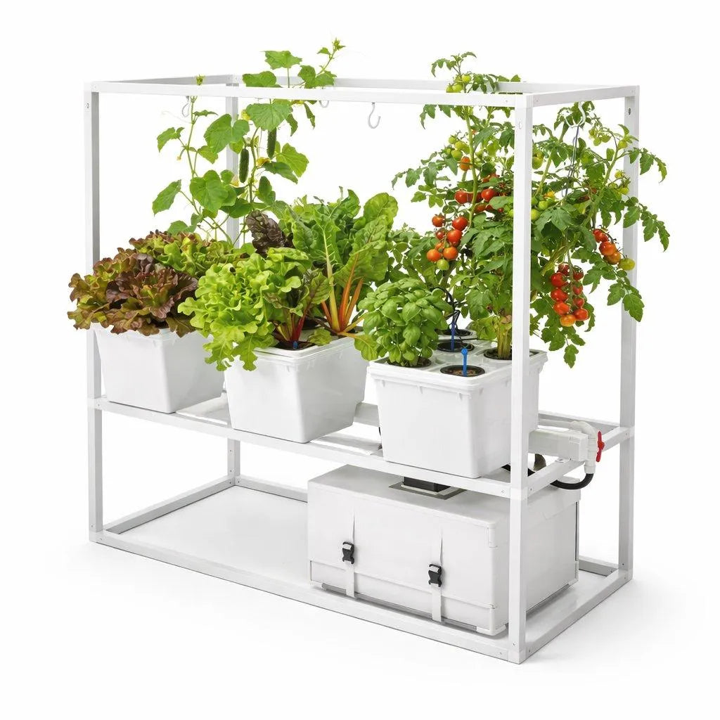 Tobato Smart 5: framed Dutch Bucket hydroponic system with mature tomatoes, peppers, and greens.