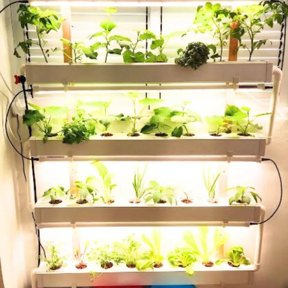 Wally hydroponic system growing in a real home