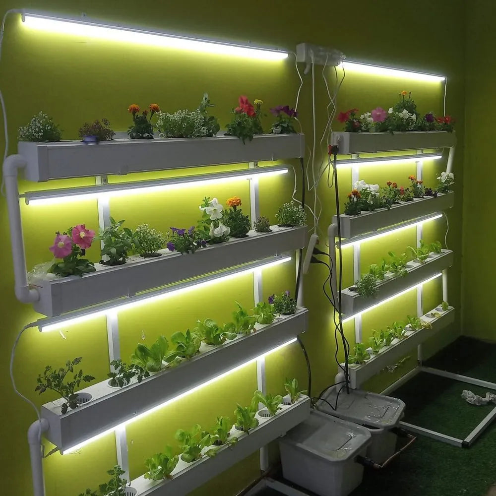 Wally hydroponic system growing in a real home