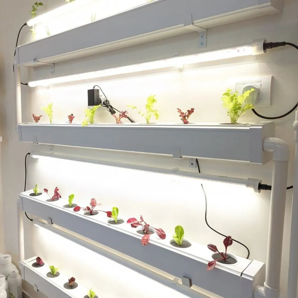 Wally hydroponic system growing in a real home