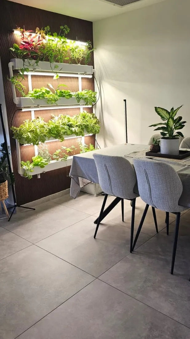 Wally hydroponic system growing in a real home