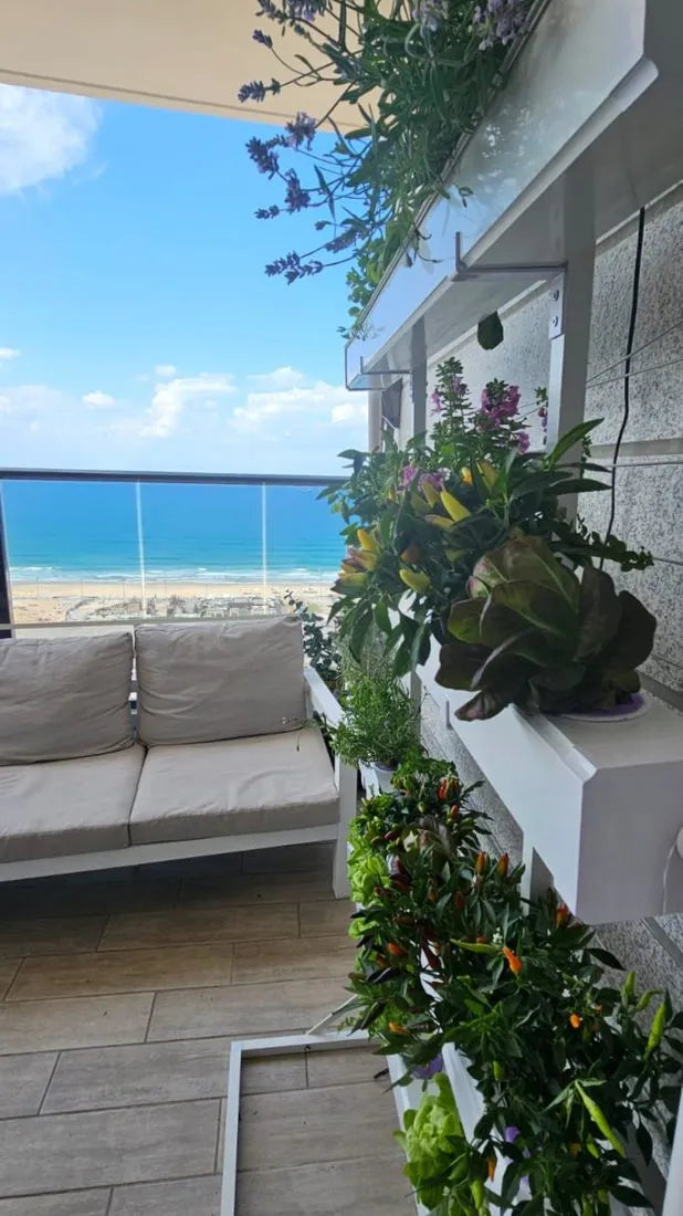Wally hydroponic system growing in a real home