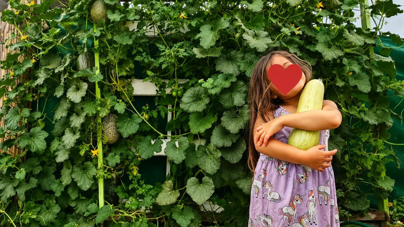 Customer growing with a NatureTech system at home